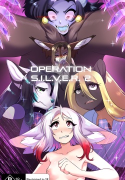 Operation Silver 2.